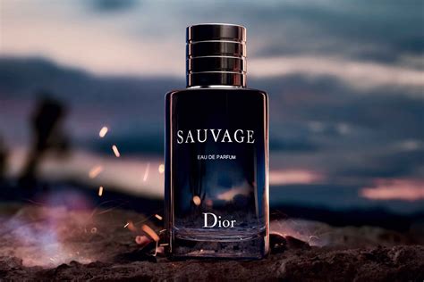 dior sauavge|dior sauvage best price.